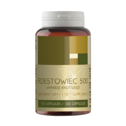 Rdestowiec 500+ - 100 kaps.