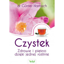 Czystek