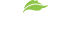 Green Origins